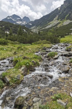 Yaz peyzaj Malyovitsa tepe ve Malyoviska Nehri, Rila Dağı, Bulgaristan