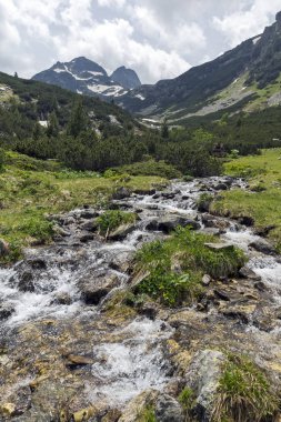Yaz peyzaj Malyovitsa tepe ve Malyoviska Nehri, Rila Dağı, Bulgaristan