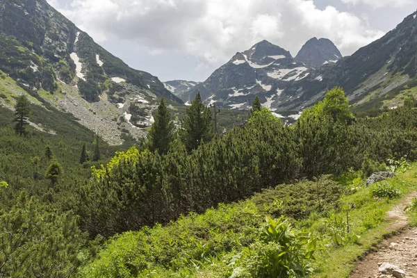 Amazing Summer Landscape Malyovitsa Peak Rila Mountain Bulgaria — Stock Photo, Image