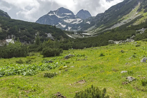 Amazing Summer Landscape Malyovitsa Peak Rila Mountain Bulgaria — Stock Photo, Image