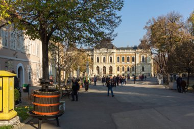 Sremski Karlovci, Voyvodina, Sırbistan - 11 Kasım 2018: Bina, Sırp Ortodoks Theological Seminary içinde şehir, Srijemski Karlovci, Voyvodina, Sırbistan