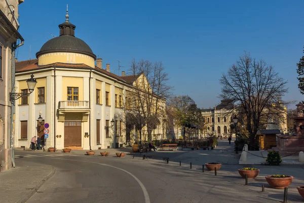 Sremski Karlovci Vojvodina Serbien November 2018 Panorama Centrerar Staden Srijemski — Stockfoto