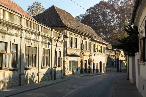 Sremski Karlovci Vojvodina Sérvia Novembro 2018 Panorama Centro Cidade Srijemski — Fotografia de Stock