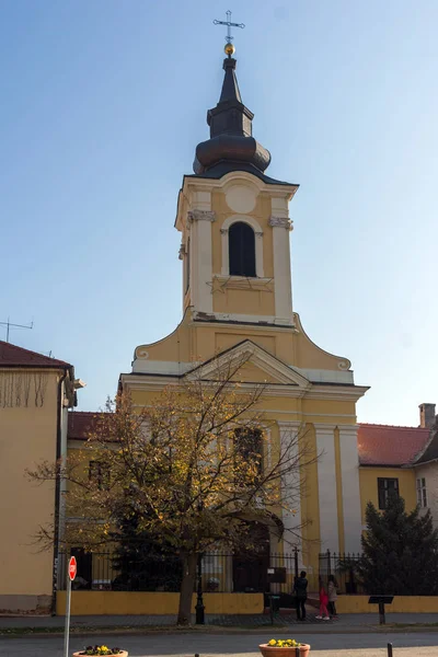 Sremski Karlovci Vojvodina Serbia Novembre 2018 Panorama Del Centro Srijemski — Foto Stock