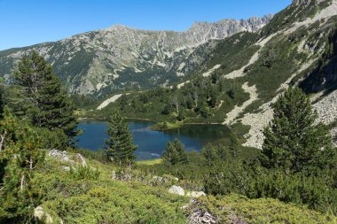 Balık Vasilashko Gölü, Pirin Dağı, Bulgaristan berrak suları ile manzara
