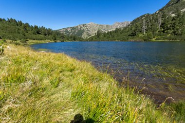 Balık Vasilashko Gölü, Pirin Dağı, Bulgaristan berrak suları ile manzara