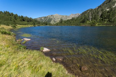 Balık Vasilashko Gölü, Pirin Dağı, Bulgaristan berrak suları ile manzara