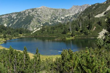Balık Vasilashko Gölü, Pirin Dağı, Bulgaristan berrak suları ile manzara