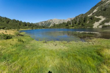 Balık Vasilashko Gölü, Pirin Dağı, Bulgaristan berrak suları ile manzara