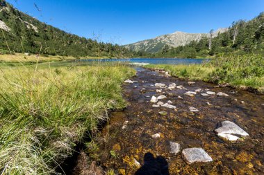 Balık Vasilashko Gölü, Pirin Dağı, Bulgaristan berrak suları ile manzara