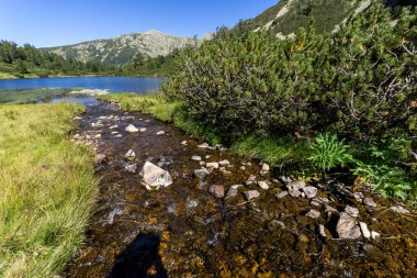 Balık Vasilashko Gölü, Pirin Dağı, Bulgaristan berrak suları ile manzara