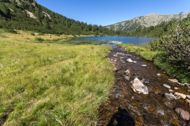 Balık Vasilashko Gölü, Pirin Dağı, Bulgaristan berrak suları ile manzara