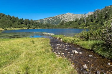 Balık Vasilashko Gölü, Pirin Dağı, Bulgaristan berrak suları ile manzara