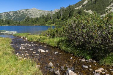 Balık Vasilashko Gölü, Pirin Dağı, Bulgaristan berrak suları ile manzara