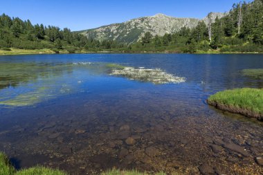 Balık Vasilashko Gölü, Pirin Dağı, Bulgaristan berrak suları ile manzara