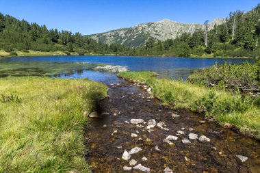 Balık Vasilashko Gölü, Pirin Dağı, Bulgaristan berrak suları ile manzara