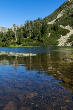 Balık Vasilashko Gölü, Pirin Dağı, Bulgaristan berrak suları ile manzara