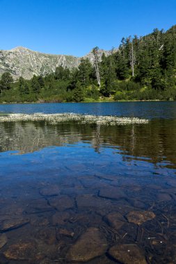 Balık Vasilashko Gölü, Pirin Dağı, Bulgaristan berrak suları ile manzara