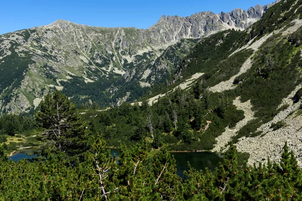 风景与鱼瓦西拉什科湖清澈的水 皮林山 保加利亚 — 图库照片