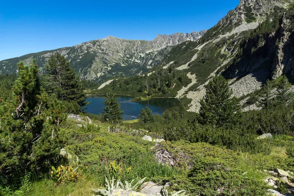 风景与鱼瓦西拉什科湖清澈的水 皮林山 保加利亚 — 图库照片