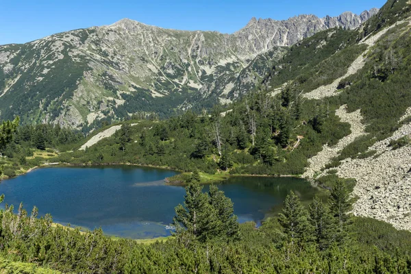 Krajina Průzračnou Vodou Ryby Vasilashko Jezera Pohoří Pirin Bulharsko — Stock fotografie