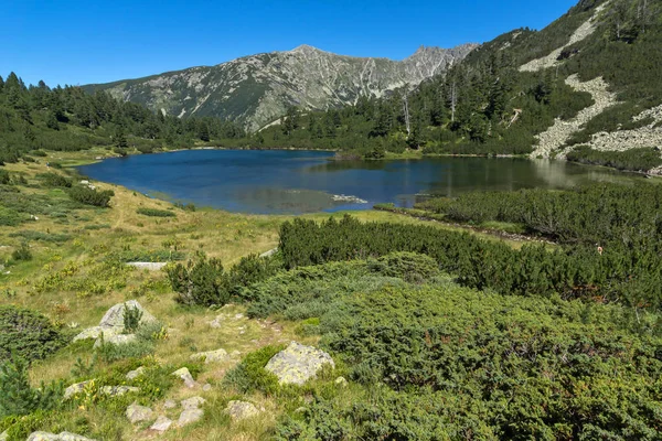 Paisagem Com Águas Límpidas Lago Fish Vasilashko Pirin Mountain Bulgária — Fotografia de Stock