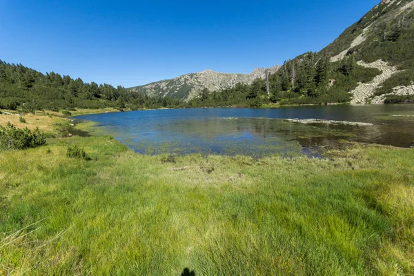 Lanskap Dengan Air Jernih Danau Fish Vasilashko Pirin Mountain Bulgaria — Stok Foto