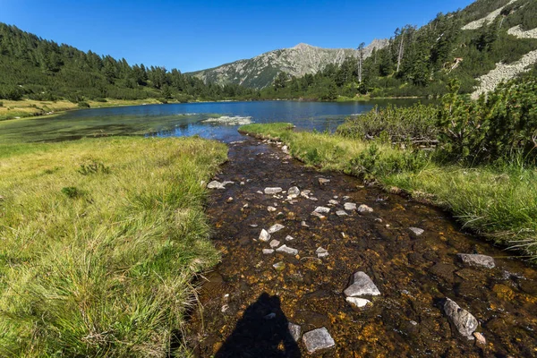 风景与鱼瓦西拉什科湖清澈的水 皮林山 保加利亚 — 图库照片