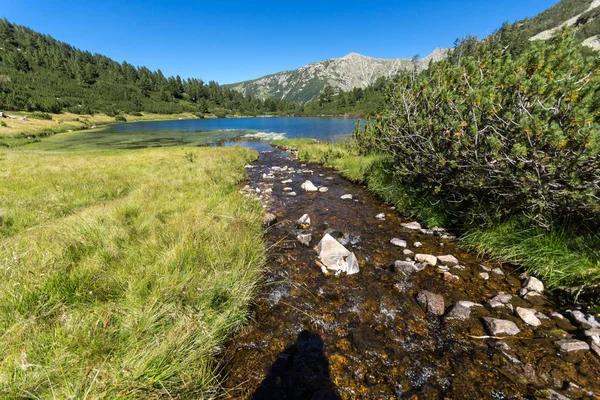 Lanskap Dengan Air Jernih Danau Fish Vasilashko Pirin Mountain Bulgaria — Stok Foto