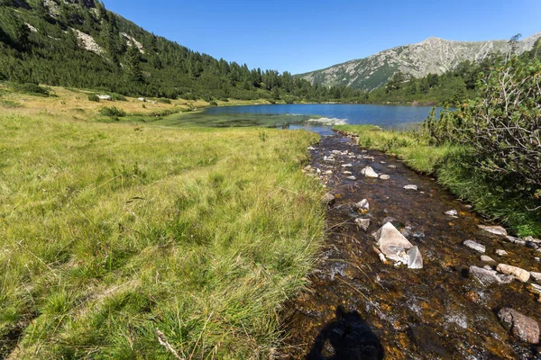 Lanskap Dengan Air Jernih Danau Fish Vasilashko Pirin Mountain Bulgaria — Stok Foto