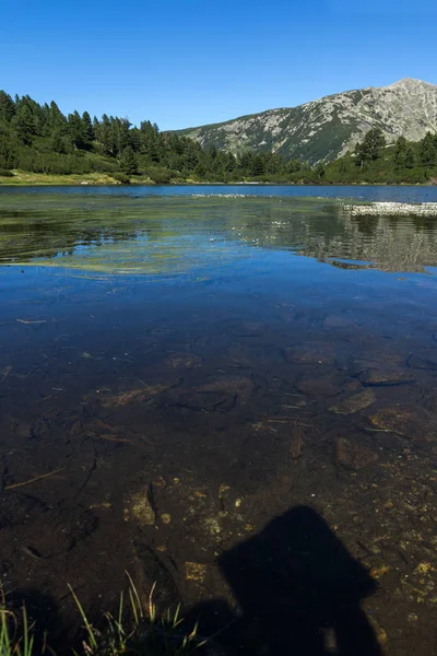 Пейзаж Чистыми Водами Озера Василашко Гора Пирин Болгария — стоковое фото
