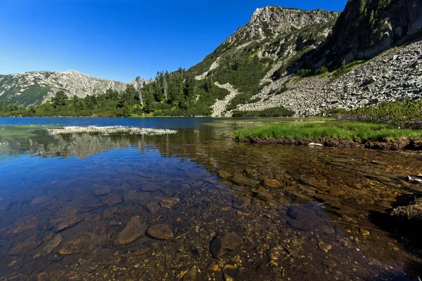 Landscape Clear Waters Fish Vasilashko Lake Pirin Mountain Bulgaria — Stock Photo, Image