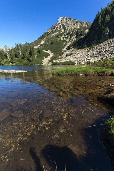 Paisaje Con Aguas Cristalinas Peces Lago Vasilashko Montaña Pirin Bulgaria — Foto de Stock