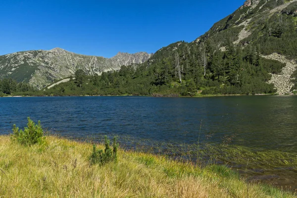 Paisaje Con Aguas Cristalinas Peces Lago Vasilashko Montaña Pirin Bulgaria — Foto de Stock