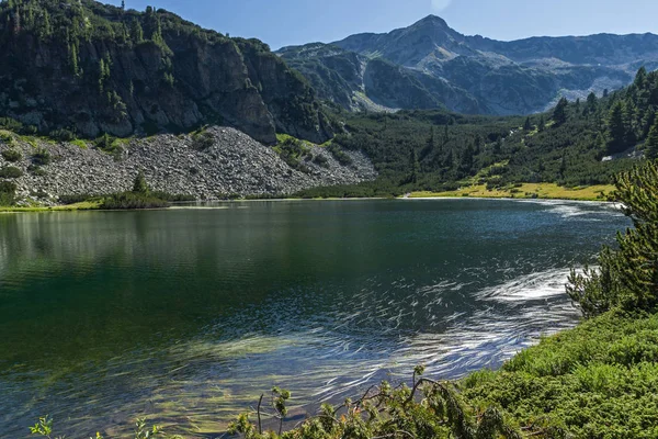 Lanskap Dengan Air Jernih Danau Fish Vasilashko Pirin Mountain Bulgaria — Stok Foto