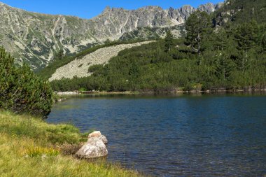 Balık Vasilashko Gölü, Pirin Dağı, Bulgaristan berrak suları ile manzara