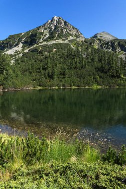 Balık Vasilashko Gölü, Pirin Dağı, Bulgaristan berrak suları ile manzara