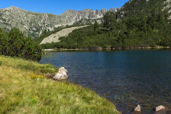 Krajobraz Czystymi Wodami Jeziora Vasilashko Ryb Góry Pirin Bułgaria — Zdjęcie stockowe