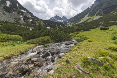 Yaz peyzaj Malyovitsa tepe ve Malyoviska Nehri, Rila Dağı, Bulgaristan
