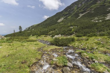 Yaz peyzaj Malyoviska Nehri Vadisi, Rila Dağı, Bulgaristan