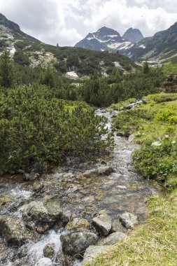 Yaz peyzaj Malyovitsa tepe ve Malyoviska Nehri, Rila Dağı, Bulgaristan