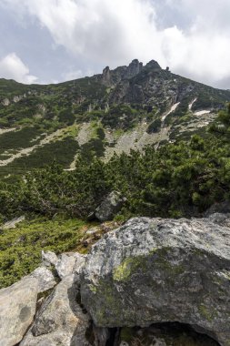 Yaz peyzaj Malyoviska Nehri Vadisi, Rila Dağı, Bulgaristan