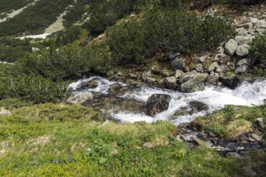 Yaz peyzaj Malyoviska Nehri Vadisi, Rila Dağı, Bulgaristan
