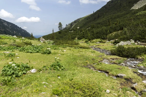 Summer Landscape Malyoviska River Valley Rila Mountain Bulgaria — Stock Photo, Image