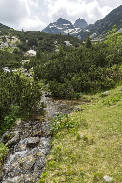 Summer Landscape Malyovitsa Peak Malyoviska River Rila Mountain Bulgaria — Stock Photo, Image