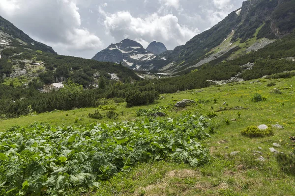 Amazing Summer Landscape Malyovitsa Peak Rila Mountain Bulgaria — Stock Photo, Image