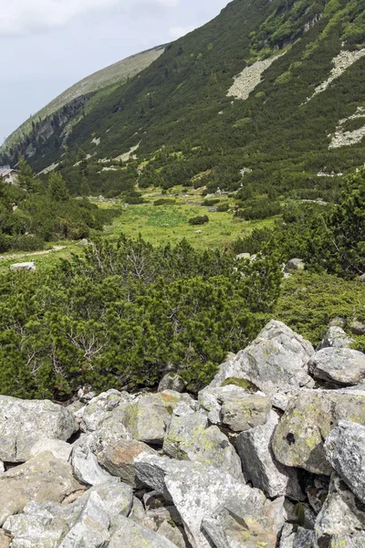 Letní Krajina Malyoviska River Valley Rilského Pohoří Bulharsko — Stock fotografie