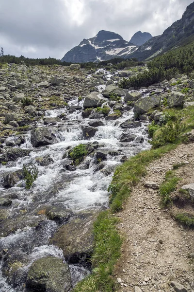 Sommarlandskap Malyovitsa Peak Och Malyoviska River Rilabergen Bulgarien — Stockfoto