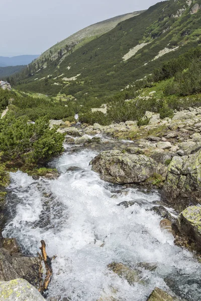 Summer landscape of Malyoviska river Valley, Rila Mountain, Bulgaria