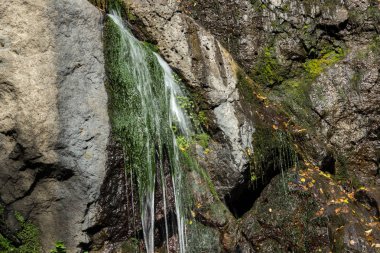 Sonbahar görünümü Samodivsko praskalo şelale, Rodop Dağları, Bulgaristan